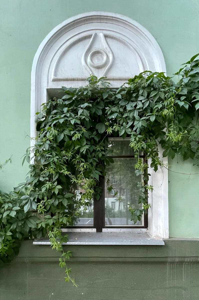 Een raam met decoratieve omlijsting in een groene gevel. — illustratieve foto